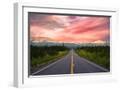 White Frame