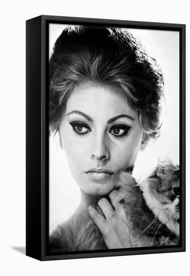 Sophia Loren (1934-)-null-Framed Stretched Canvas