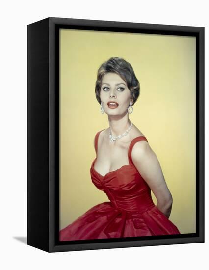 Sophia Loren, 1955-null-Framed Stretched Canvas