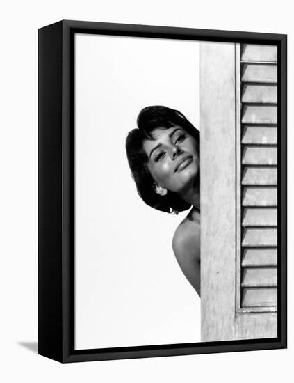 Sophia Loren. "Houseboat" 1958, Directed by Melville Shavelson-null-Framed Stretched Canvas