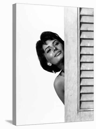 Sophia Loren. "Houseboat" 1958, Directed by Melville Shavelson-null-Stretched Canvas