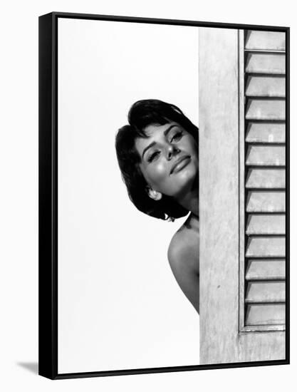 Sophia Loren. "Houseboat" 1958, Directed by Melville Shavelson-null-Framed Stretched Canvas