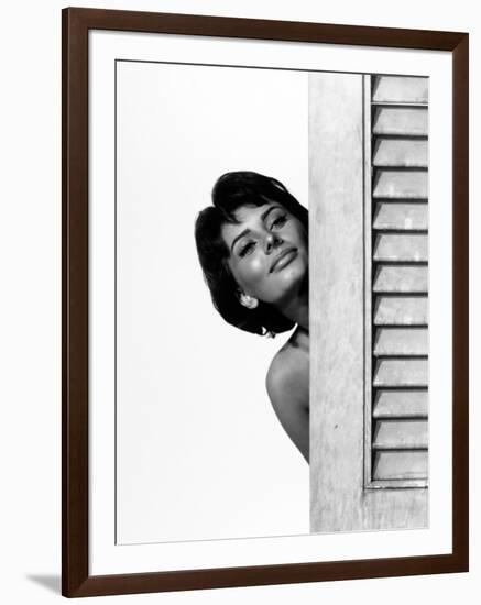 Sophia Loren. "Houseboat" 1958, Directed by Melville Shavelson-null-Framed Photographic Print