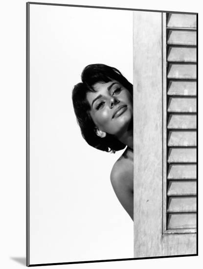 Sophia Loren. "Houseboat" 1958, Directed by Melville Shavelson-null-Mounted Photographic Print
