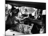 Sophia Loren Speaks to Fans Outside Trailer Window During Filming of "Madame Sans Gene"-Alfred Eisenstaedt-Mounted Premium Photographic Print