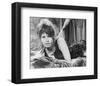 Sophia Loren, The Millionairess (1960)-null-Framed Photo