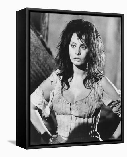 Sophia Loren-null-Framed Stretched Canvas