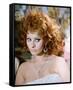 Sophia Loren-null-Framed Stretched Canvas