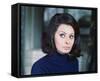 Sophia Loren-null-Framed Stretched Canvas