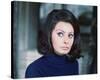 Sophia Loren-null-Stretched Canvas