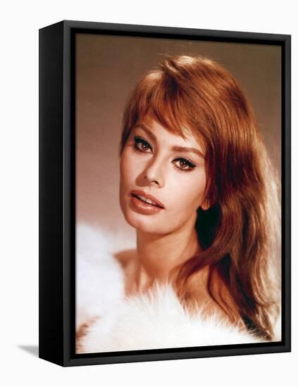 Sophia Loren-null-Framed Stretched Canvas