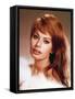 Sophia Loren-null-Framed Stretched Canvas