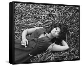 Sophia Loren-null-Framed Stretched Canvas