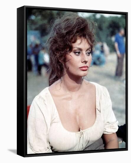 Sophia Loren-null-Framed Stretched Canvas