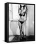 Sophia Loren-null-Framed Stretched Canvas