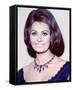 Sophia Loren-null-Framed Stretched Canvas