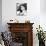 Sophia Loren-null-Photo displayed on a wall