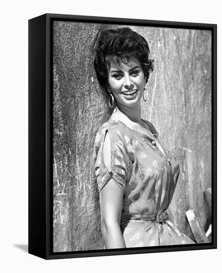 Sophia Loren-null-Framed Stretched Canvas