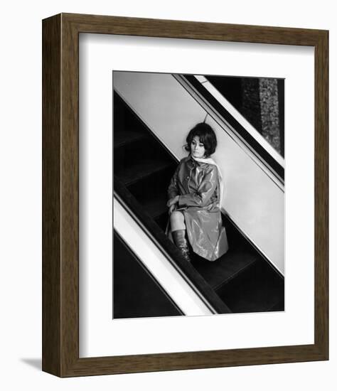 Sophia Loren-null-Framed Photo