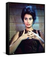 Sophia Loren-null-Framed Stretched Canvas