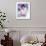 Sophia Loren-null-Framed Photo displayed on a wall