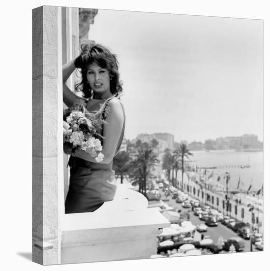 Sophia Loren-null-Stretched Canvas