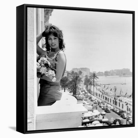 Sophia Loren-null-Framed Stretched Canvas