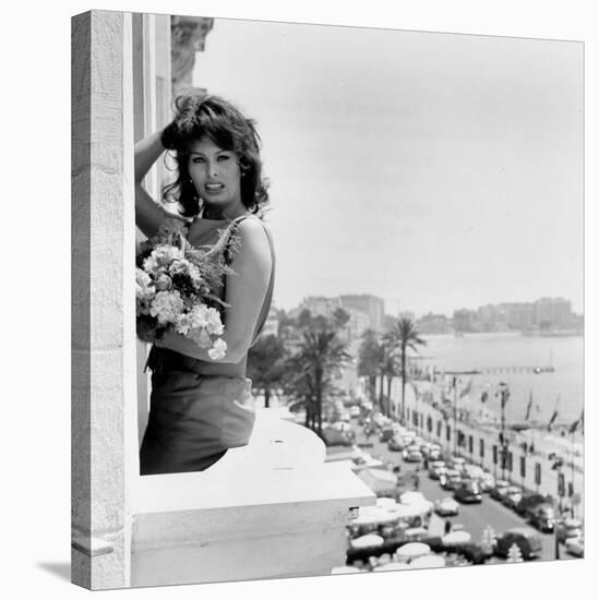 Sophia Loren-null-Stretched Canvas