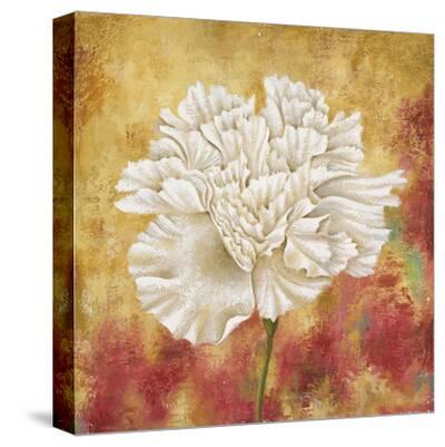'Peony Dawn II' Stretched Canvas Print - Sophia Sanchez | AllPosters.com