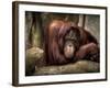 Sophia-Stephen Arens-Framed Photographic Print