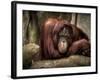 Sophia-Stephen Arens-Framed Photographic Print