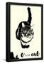 Essential Black