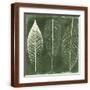 Brown Frame