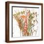 Brown Frame