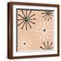 Brown Frame