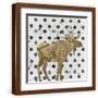 Brown Frame