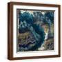 Brown Frame