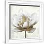 Gramercy White