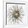 Gramercy White