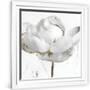 Gramercy White