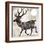 Brown Frame