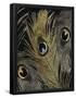 Essential Black