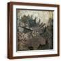 Brown Frame