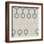 Brown Frame