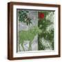 Brown Frame