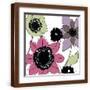 Brown Frame