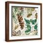 Brown Frame