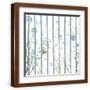 Brown Frame