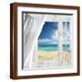 Brown Frame
