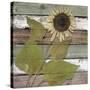 Stretched Canvas